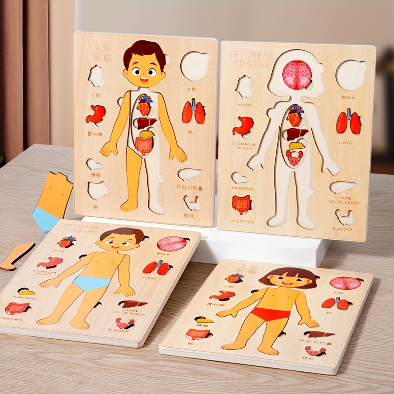 Human Body Puzzle - ألغاز جسم الإنسان الخشبية مونتيسوري للأطفال