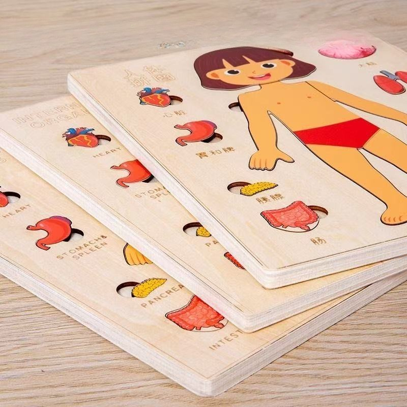 ألغاز مونتيسوري لوحة مشغولة لت - مراجعة Human Body Puzzle وسعره